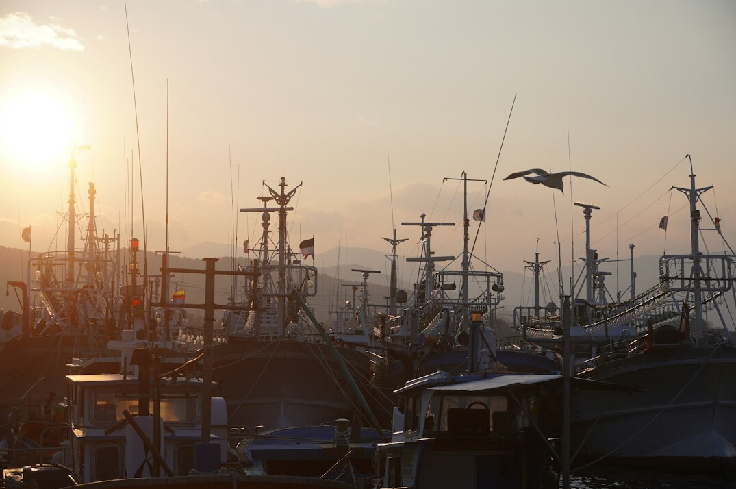Fishing boats docked in a small harbor at dawn