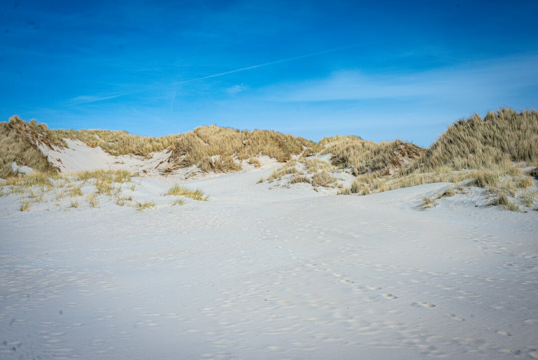 Coastal sand dunes under an open sky