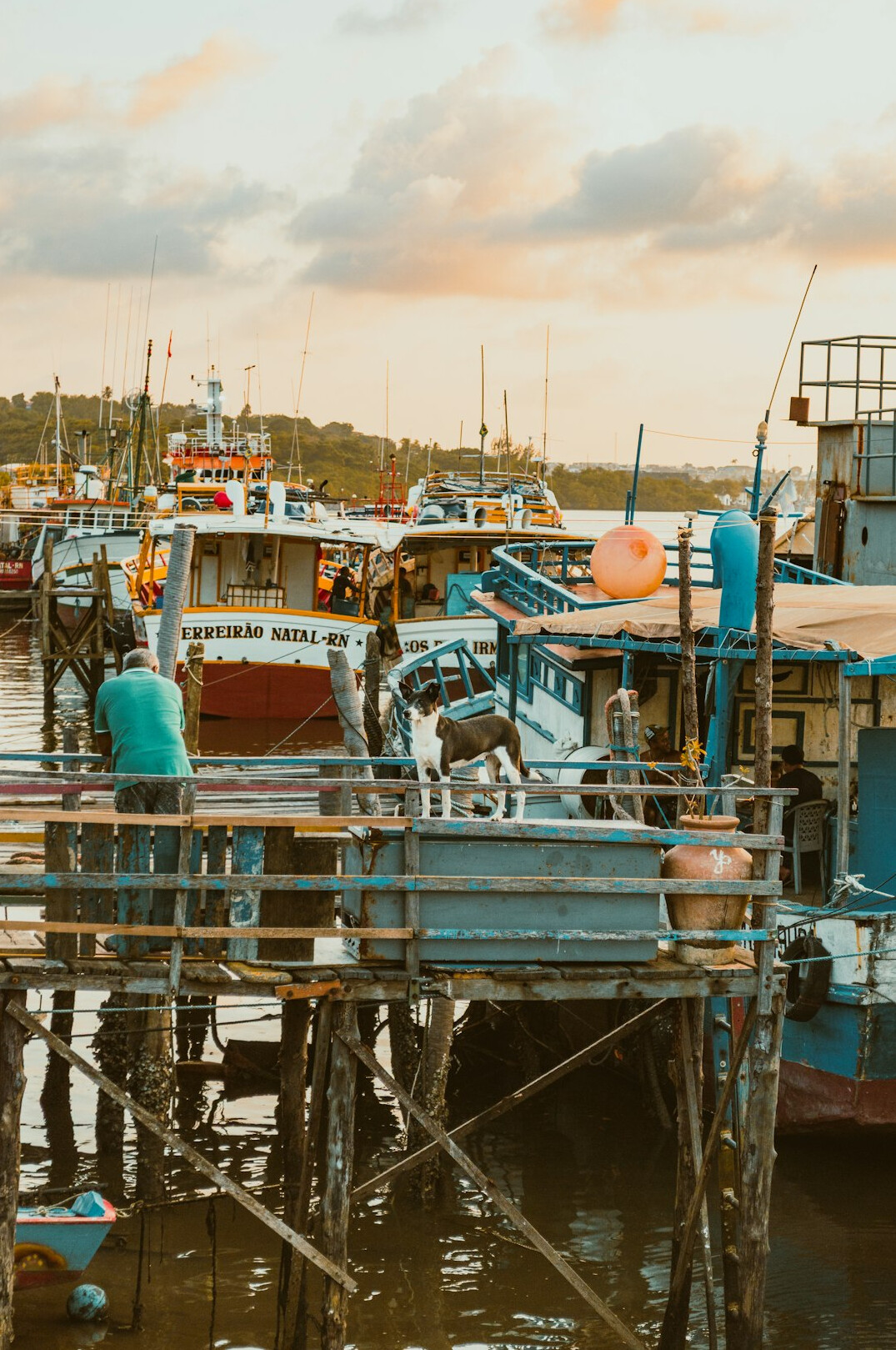 Harbor with fishing boats and nets at a working pier